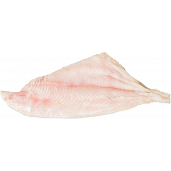 Filete Reineta Fresca