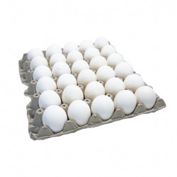 Huevos Extra - Bandeja 30u