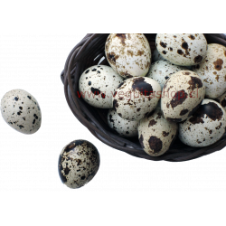 Huevos de Codorniz - 24 unid.