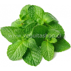 Menta Fresca - 100grs