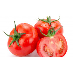 Tomate - Kg